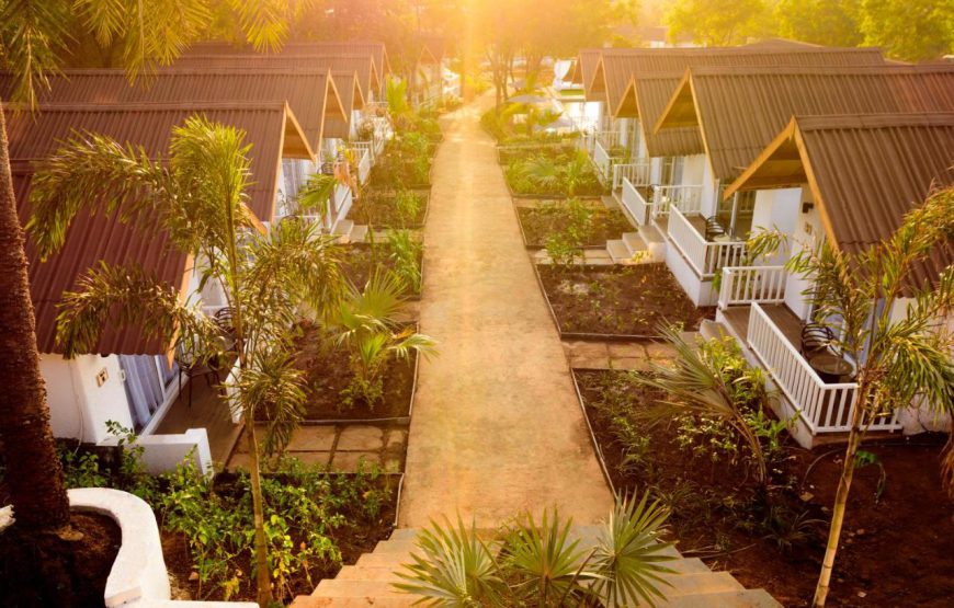 Whitewood Resort, Morjim, Goa
