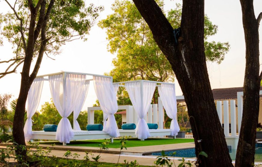 Whitewood Resort, Morjim, Goa