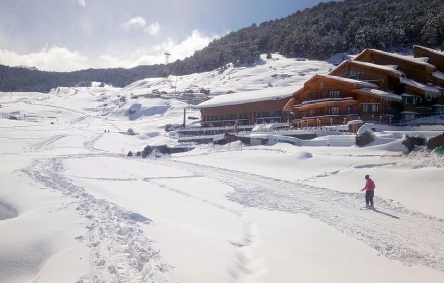 Clifftop Club, Auli