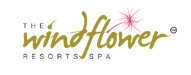 windflower